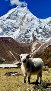 Namrung Village-A Scenic Gateway to Upper Manaslu